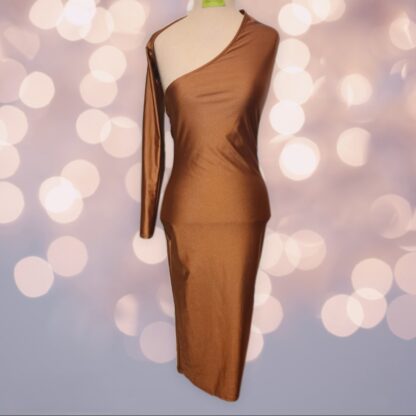 Copper Over Neck Long Sleeve Dress