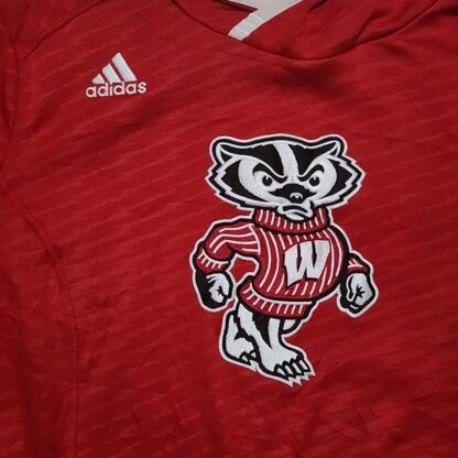 Wisconsin Bucky Badger Red Hoodie Sz Lg - Image 5