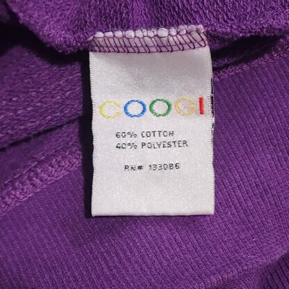 Big Kids Purple CG Coogi Hoodie Sz Lg - Image 8